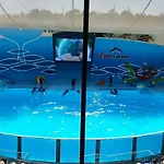 Falesia 阿尔布费拉