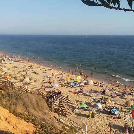 Falesia Apartament *